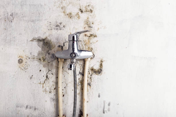 Best Certified Mold Removal  in Fairfield, CA