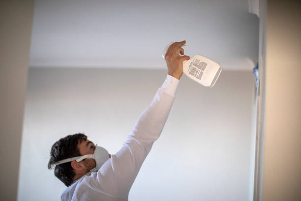 Best Commercial Mold Removal  in Fairfield, CA