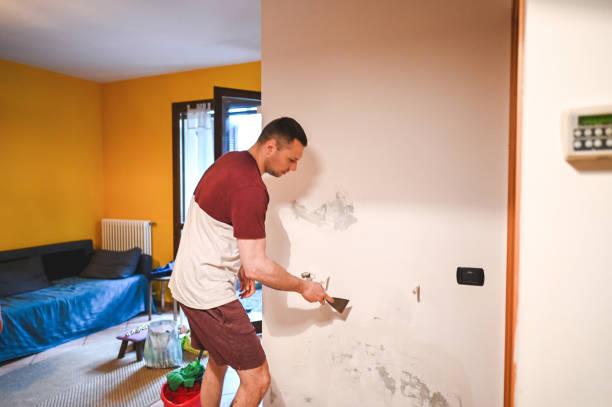 Best Commercial Mold Removal  in Fairfield, CA