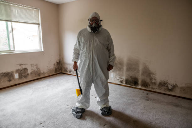 Best Affordable Mold Removal  in Fairfield, CA
