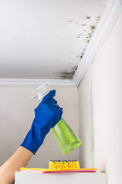 Best Crawl Space Mold Removal  in Fairfield, CA